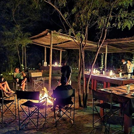 The Wild Olive Tree Camp Otel Welverdiend  Dış mekan fotoğraf