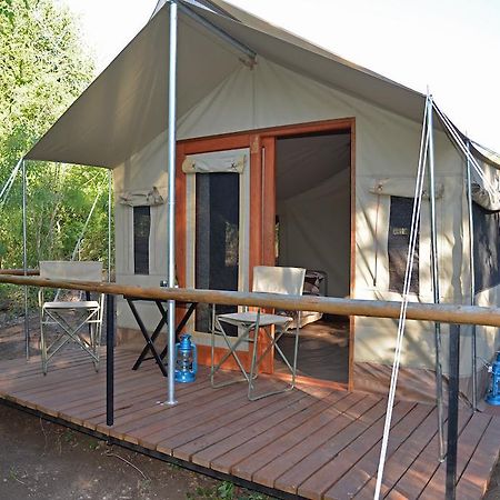 The Wild Olive Tree Camp Otel Welverdiend  Oda fotoğraf