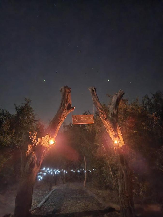 The Wild Olive Tree Camp Otel Welverdiend  Dış mekan fotoğraf