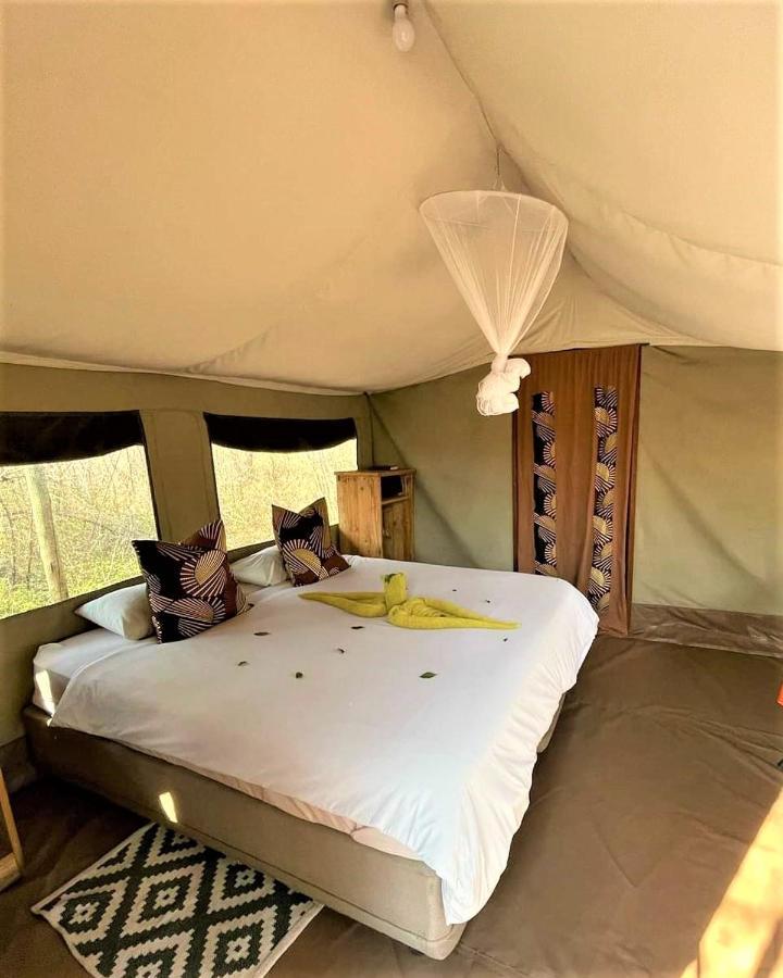 The Wild Olive Tree Camp Otel Welverdiend  Dış mekan fotoğraf
