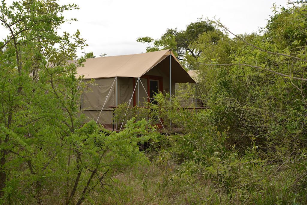 The Wild Olive Tree Camp Otel Welverdiend  Dış mekan fotoğraf